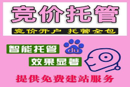 提升广告ROI：SEM竞价专员的五大案例
